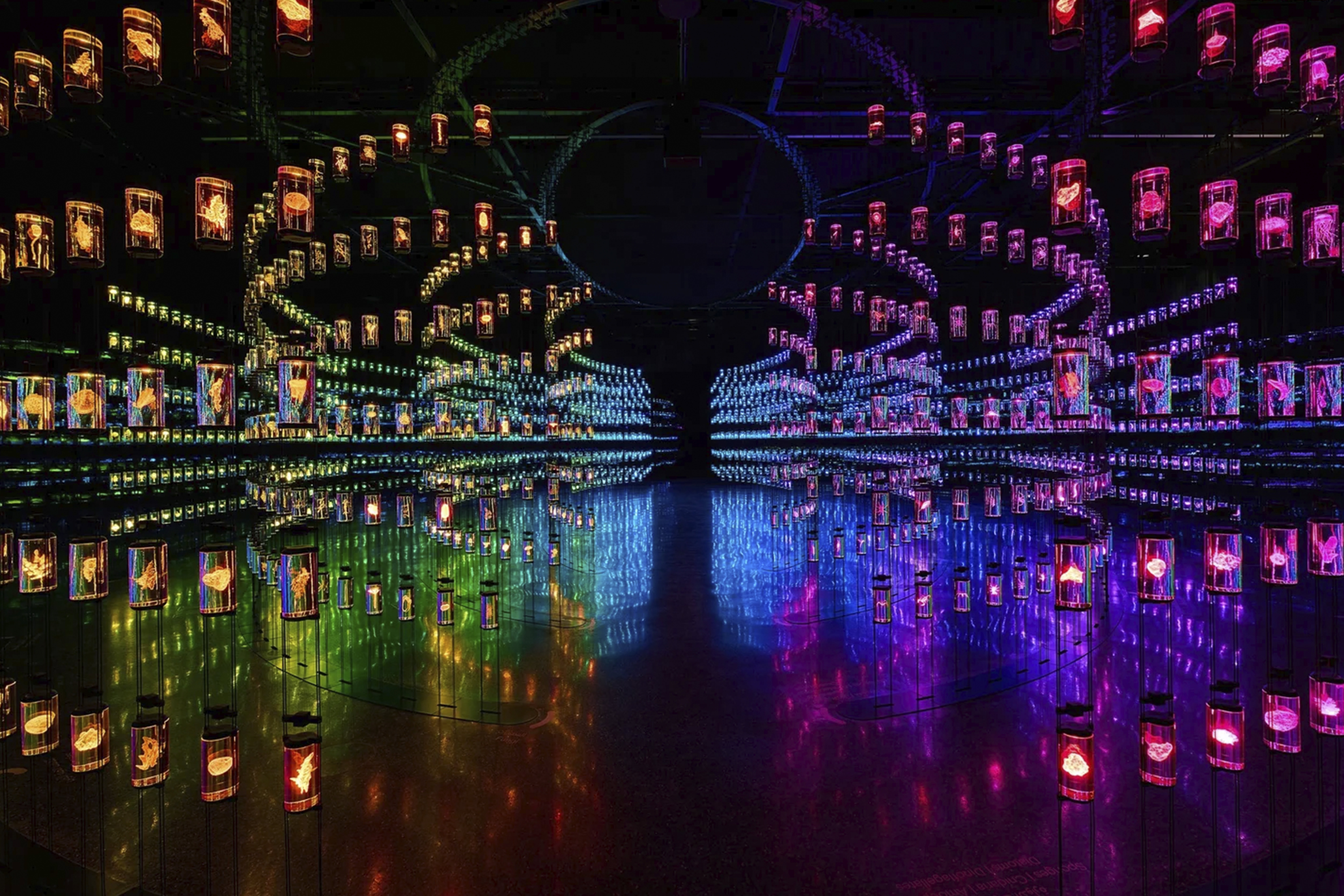 Museum of the Future, Dubai: The Museum With No Past