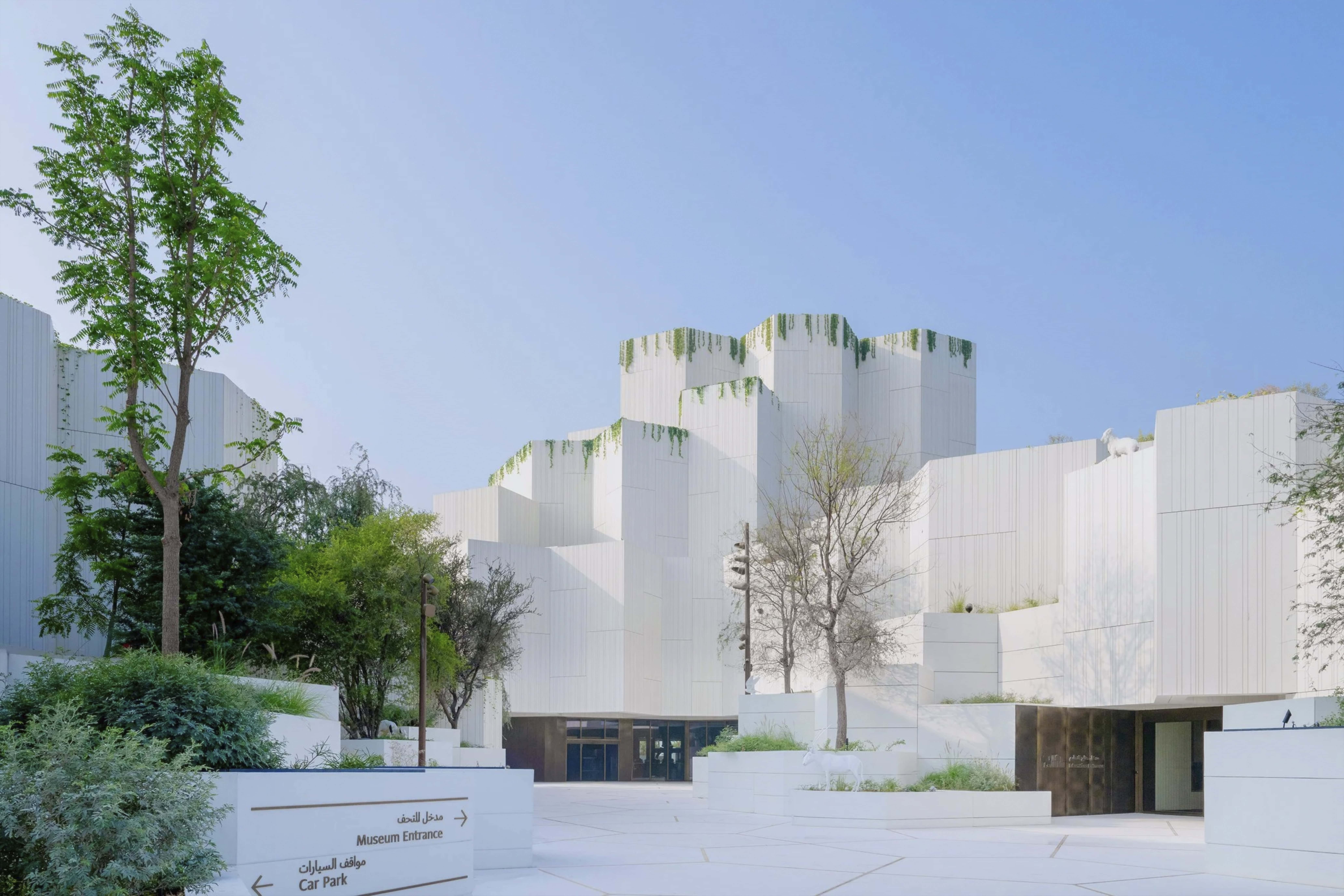 Natural History Museum Abu Dhabi: Where Deep Time Feels Local