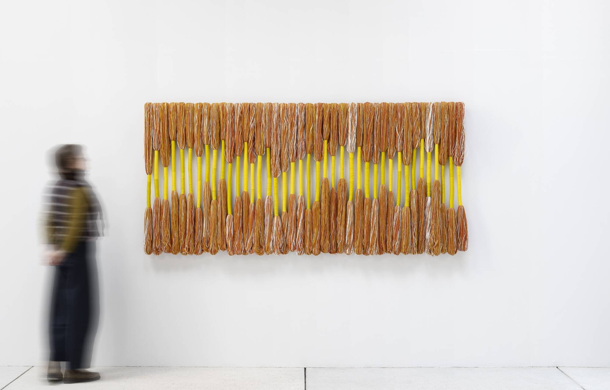 Frieze Abu Dhabi Names Its Galleries, and the Tree That Leafs in the Dry Season